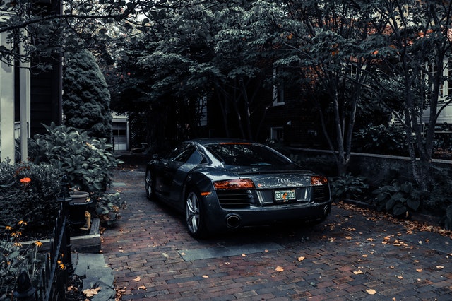 Audi garée auprès d' arbres