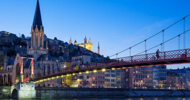 Vue de la ville de Lyon