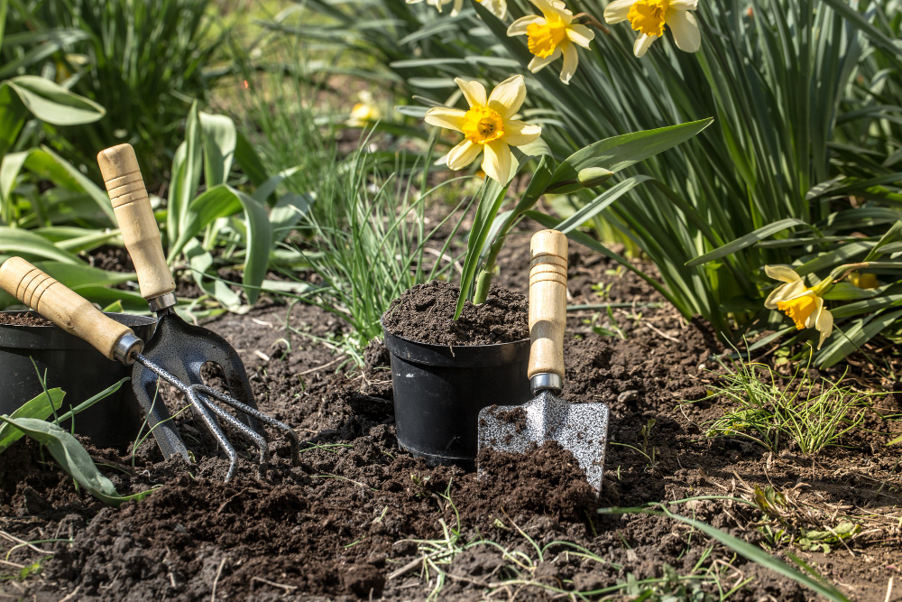 plantation de fleurs